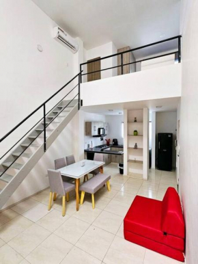 Cozy entire Loft apartment